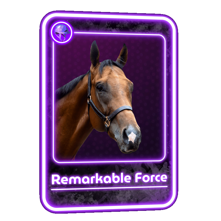 Omnihorse Animated NFT Example